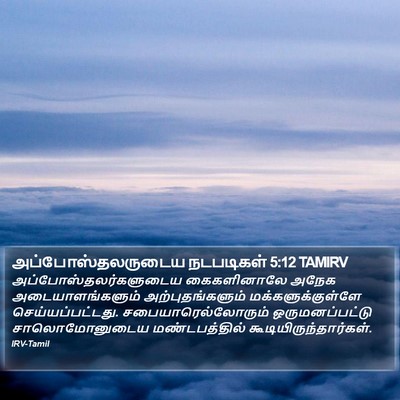 அப்போஸ்தலருடைய நடபடிகள் 5:12 TAMIRV Bible Verse Image