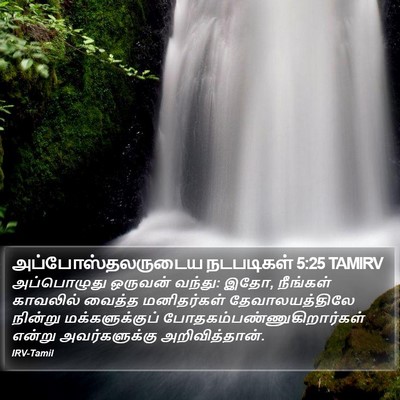 அப்போஸ்தலருடைய நடபடிகள் 5:25 TAMIRV Bible Verse Image