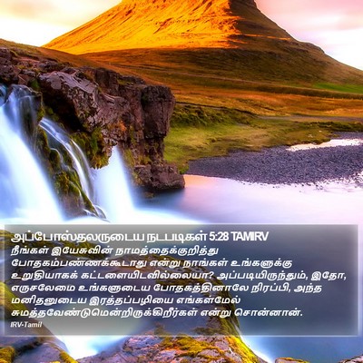 அப்போஸ்தலருடைய நடபடிகள் 5:28 TAMIRV Bible Verse Image