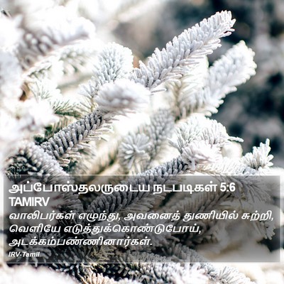 அப்போஸ்தலருடைய நடபடிகள் 5:6 TAMIRV Bible Verse Image
