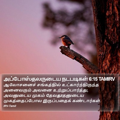 அப்போஸ்தலருடைய நடபடிகள் 6:15 TAMIRV Bible Verse Image