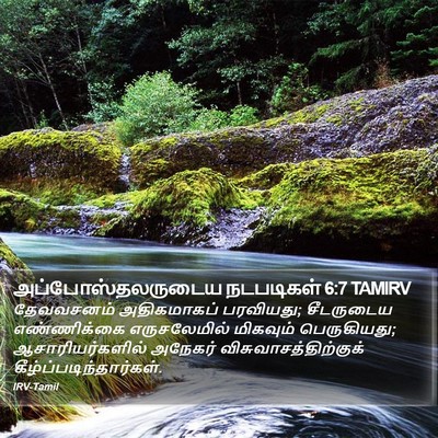 அப்போஸ்தலருடைய நடபடிகள் 6:7 TAMIRV Bible Verse Image