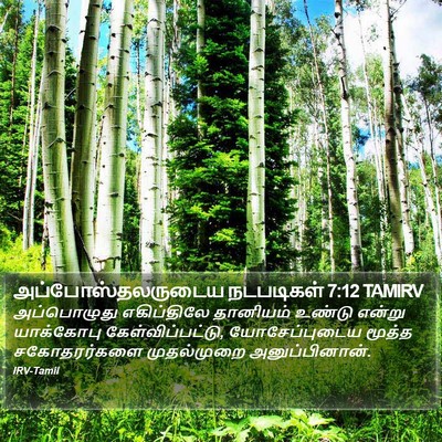 அப்போஸ்தலருடைய நடபடிகள் 7:12 TAMIRV Bible Verse Image