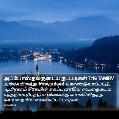 அப்போஸ்தலருடைய நடபடிகள் 7:16 TAMIRV Bible Verse Image