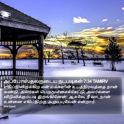அப்போஸ்தலருடைய நடபடிகள் 7:34 TAMIRV Bible Verse Image