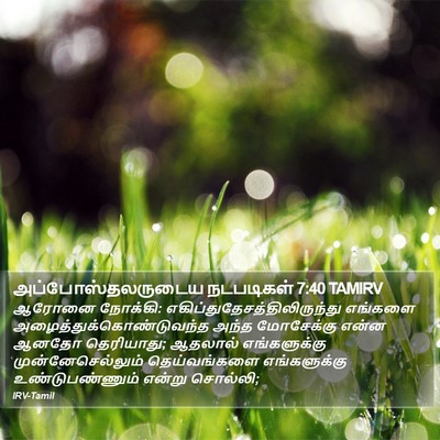 அப்போஸ்தலருடைய நடபடிகள் 7:40 TAMIRV Bible Verse Image
