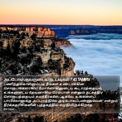 அப்போஸ்தலருடைய நடபடிகள் 7:43 TAMIRV Bible Verse Image
