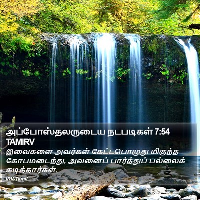 அப்போஸ்தலருடைய நடபடிகள் 7:54 TAMIRV Bible Verse Image