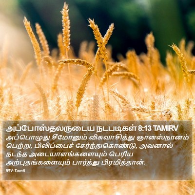 அப்போஸ்தலருடைய நடபடிகள் 8:13 TAMIRV Bible Verse Image