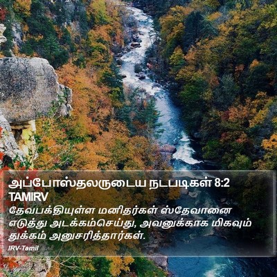 அப்போஸ்தலருடைய நடபடிகள் 8:2 TAMIRV Bible Verse Image