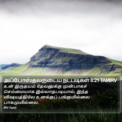 அப்போஸ்தலருடைய நடபடிகள் 8:21 TAMIRV Bible Verse Image