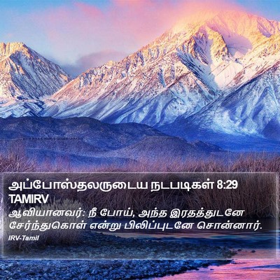 அப்போஸ்தலருடைய நடபடிகள் 8:29 TAMIRV Bible Verse Image