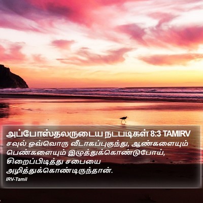 அப்போஸ்தலருடைய நடபடிகள் 8:3 TAMIRV Bible Verse Image