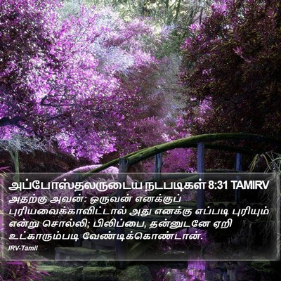 அப்போஸ்தலருடைய நடபடிகள் 8:31 TAMIRV Bible Verse Image