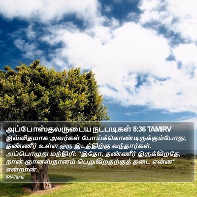 அப்போஸ்தலருடைய நடபடிகள் 8:36 TAMIRV Bible Verse Image