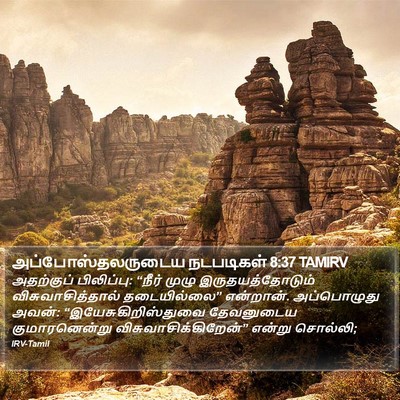 அப்போஸ்தலருடைய நடபடிகள் 8:37 TAMIRV Bible Verse Image