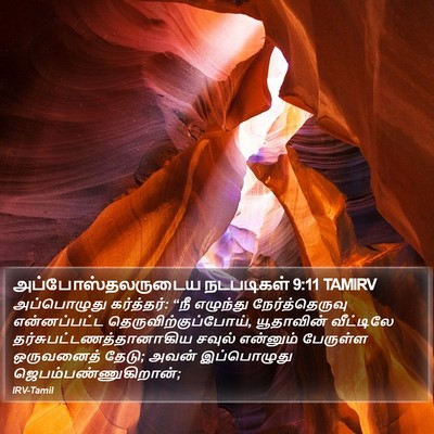 அப்போஸ்தலருடைய நடபடிகள் 9:11 TAMIRV Bible Verse Image