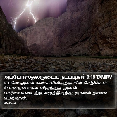 அப்போஸ்தலருடைய நடபடிகள் 9:18 TAMIRV Bible Verse Image