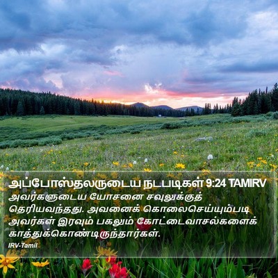 அப்போஸ்தலருடைய நடபடிகள் 9:24 TAMIRV Bible Verse Image