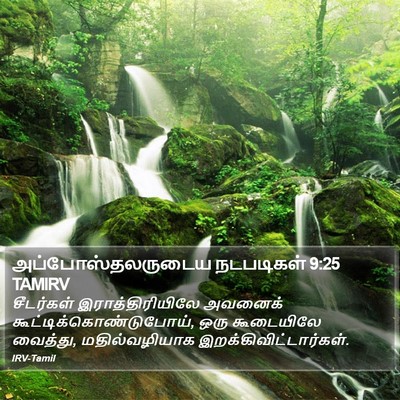 அப்போஸ்தலருடைய நடபடிகள் 9:25 TAMIRV Bible Verse Image