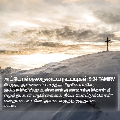 அப்போஸ்தலருடைய நடபடிகள் 9:34 TAMIRV Bible Verse Image