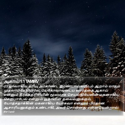 ஆகாய் 1:1 TAMIRV Bible Verse Image