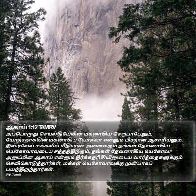 ஆகாய் 1:12 TAMIRV Bible Verse Image