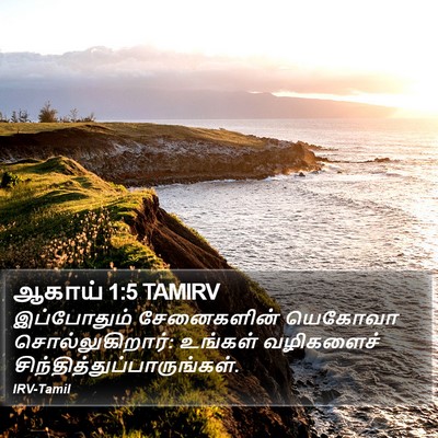 ஆகாய் 1:5 TAMIRV Bible Verse Image