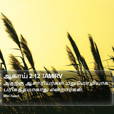 ஆகாய் 2:12 TAMIRV Bible Verse Image