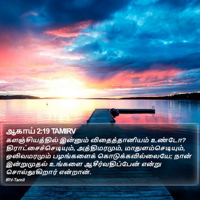 ஆகாய் 2:19 TAMIRV Bible Verse Image