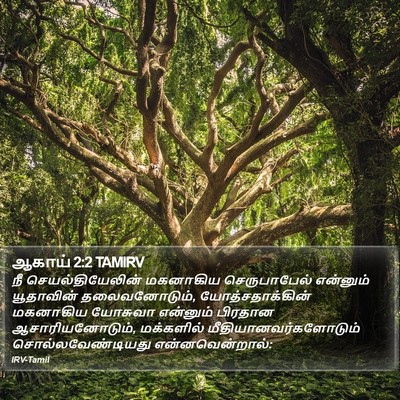 ஆகாய் 2:2 TAMIRV Bible Verse Image