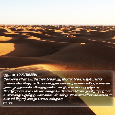 ஆகாய் 2:23 TAMIRV Bible Verse Image