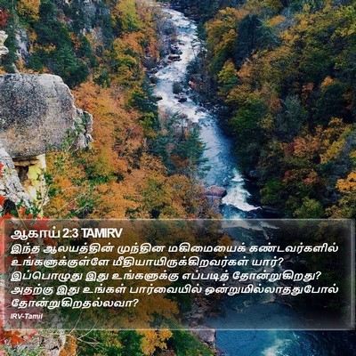 ஆகாய் 2:3 TAMIRV Bible Verse Image