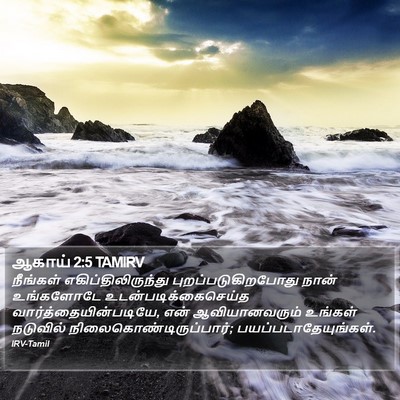 ஆகாய் 2:5 TAMIRV Bible Verse Image