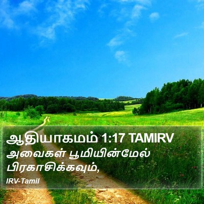 ஆதியாகமம் 1:17 TAMIRV Bible Verse Image
