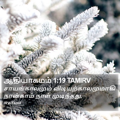 ஆதியாகமம் 1:19 TAMIRV Bible Verse Image