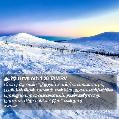 ஆதியாகமம் 1:20 TAMIRV Bible Verse Image