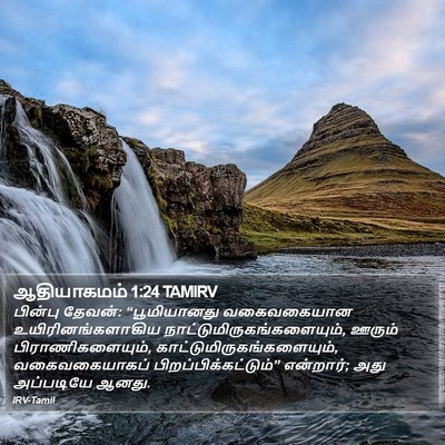 ஆதியாகமம் 1:24 TAMIRV Bible Verse Image