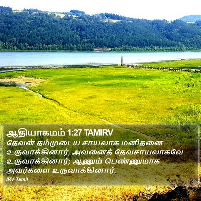 ஆதியாகமம் 1:27 TAMIRV Bible Verse Image