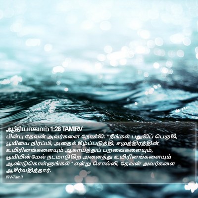 ஆதியாகமம் 1:28 TAMIRV Bible Verse Image