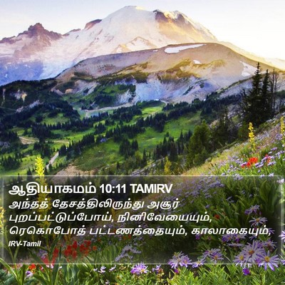 ஆதியாகமம் 10:11 TAMIRV Bible Verse Image