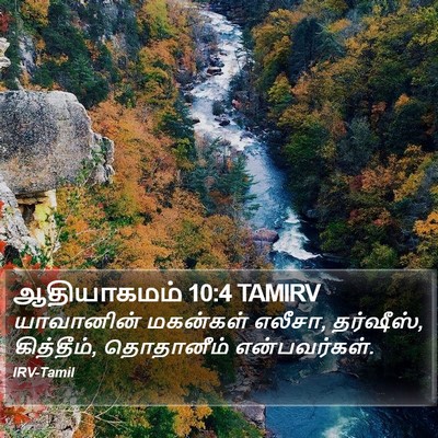 ஆதியாகமம் 10:4 TAMIRV Bible Verse Image