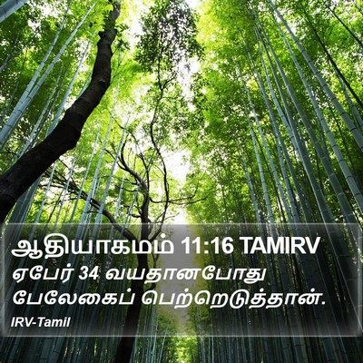 ஆதியாகமம் 11:16 TAMIRV Bible Verse Image