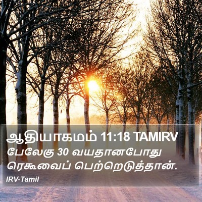 ஆதியாகமம் 11:18 TAMIRV Bible Verse Image