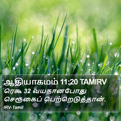 ஆதியாகமம் 11:20 TAMIRV Bible Verse Image