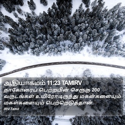 ஆதியாகமம் 11:23 TAMIRV Bible Verse Image