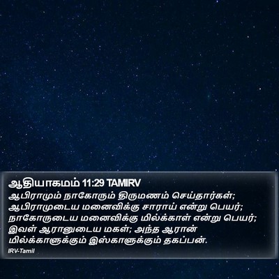 ஆதியாகமம் 11:29 TAMIRV Bible Verse Image