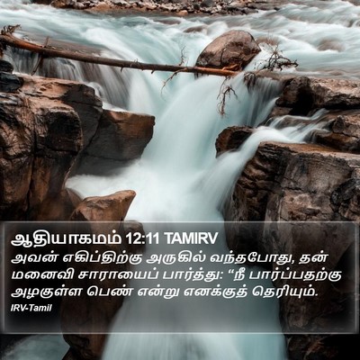 ஆதியாகமம் 12:11 TAMIRV Bible Verse Image