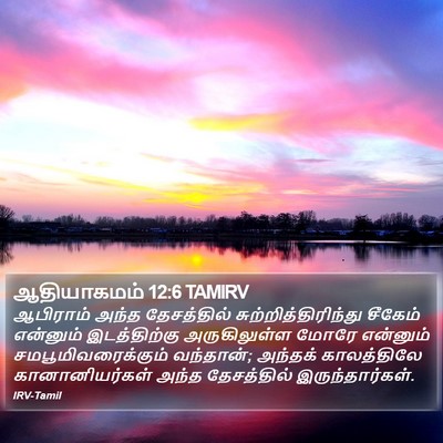 ஆதியாகமம் 12:6 TAMIRV Bible Verse Image