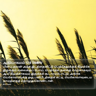 ஆதியாகமம் 12:8 TAMIRV Bible Verse Image
